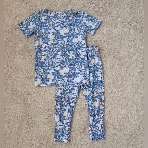 Posh Peanut Other - Posh Peanut Blue & White “Allegra” Print 2-piece Short Sleeve Pajama Set